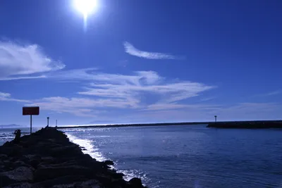 DSC_0849 (Large).JPG